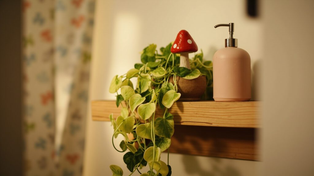 Cute vs. Nice Bathroom Accessories: 10 Aesthetic Ideas That Won’t Break the Bank